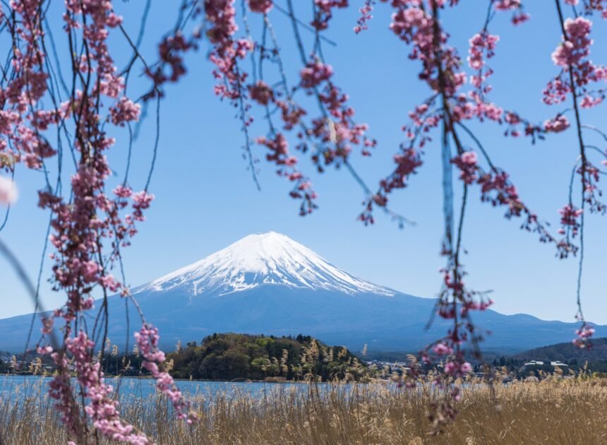 Best Place to See Mount Fuji